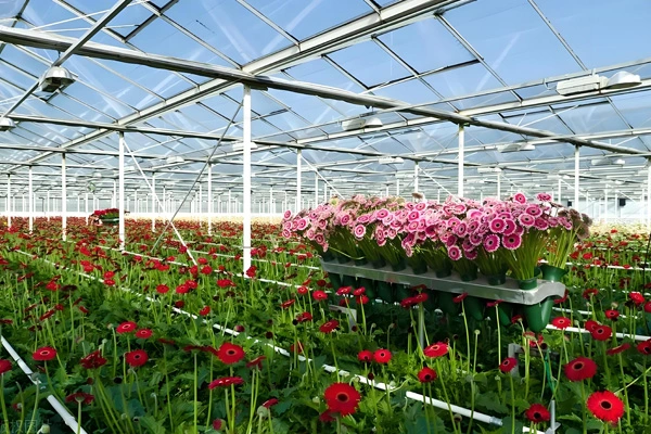 PE와 PVC Tarp 원단의 차이점은 무엇입니까?