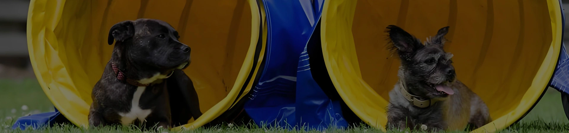 PVC 스포츠 소재