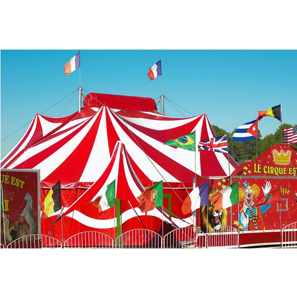 Circus Tents Fabric