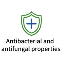 외부 분할 화면